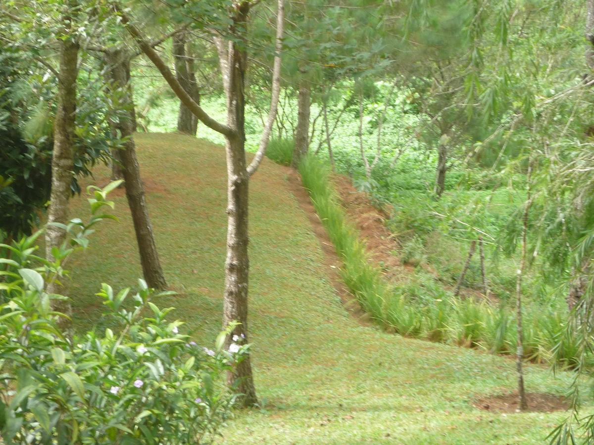 Hotel Casa Gaia Coban Ngoại thất bức ảnh